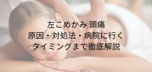 段落テキスト (20)