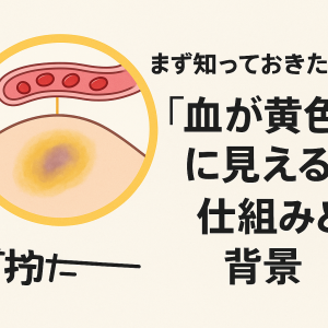 ChatGPT Image 2025年11月14日 16_32_25